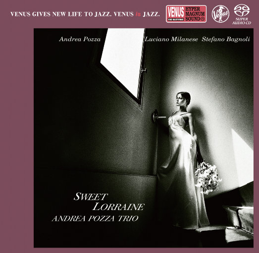 911精品—区二区三区A片
